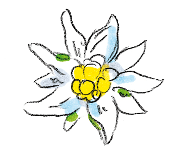 Icon Edelweiss